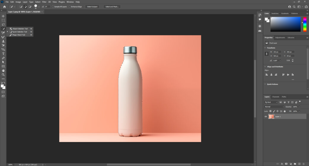 step 2 - How to Do a Clipping Path in Photoshop?