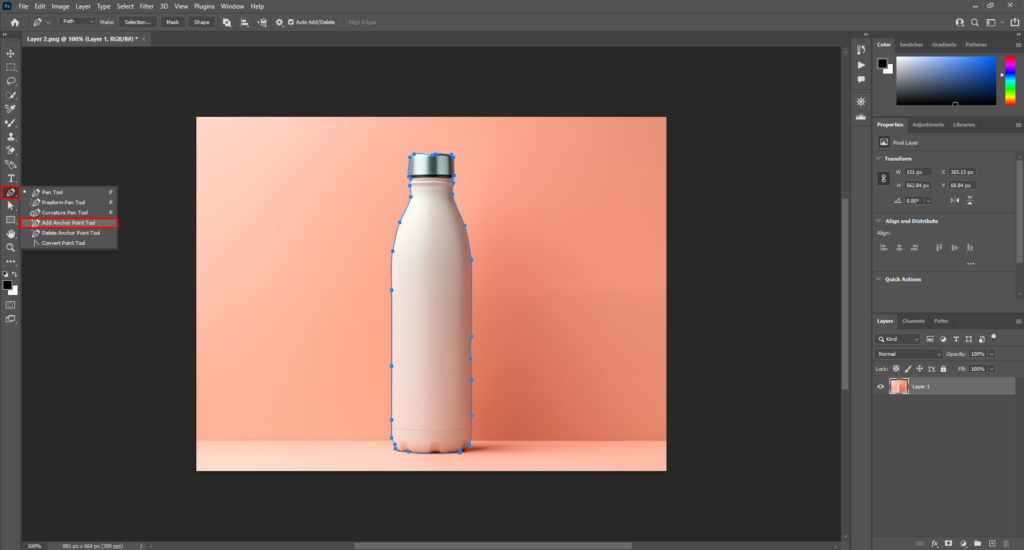 step 4 - How to Do a Clipping Path in Photoshop?