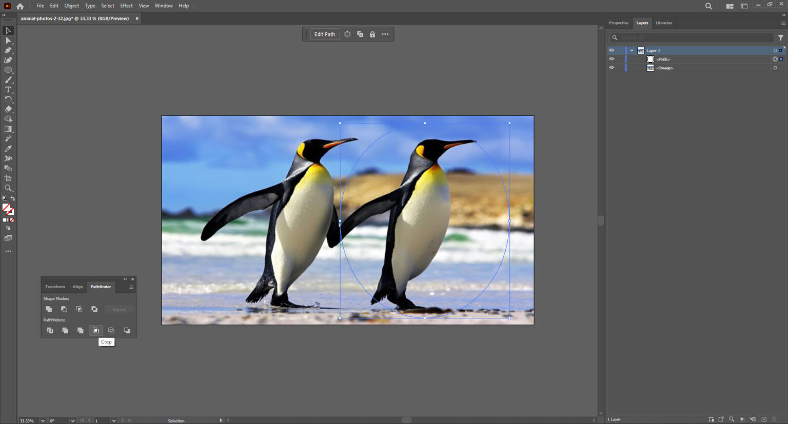 How to Convert Clipping Mask to Shape Illustrator [Expert Photo-editing ...