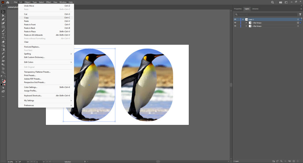Duplicate the Clipping Path