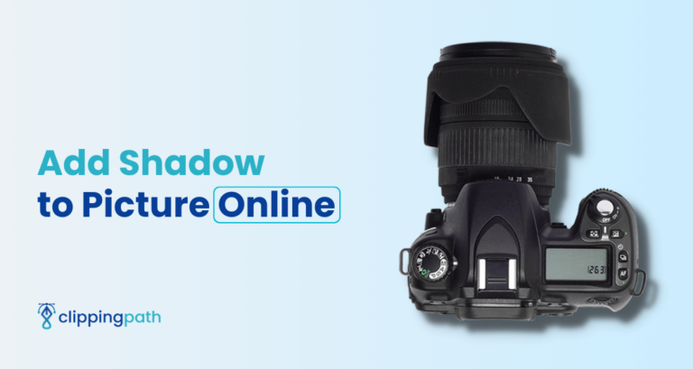 Read more about the article Top 5 Editors to Add Shadow to Picture Online in 2024