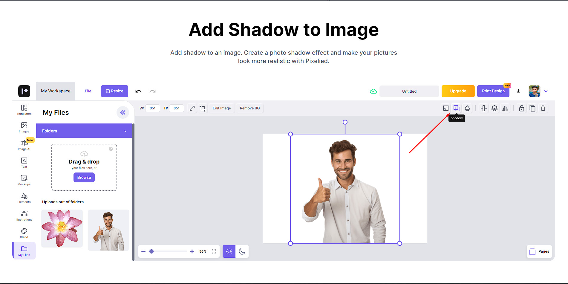 Top 5 Editors to Add Shadow to Picture Online in 2025 - Meta Clipping Path